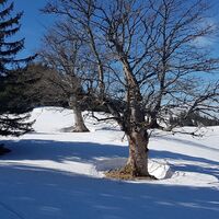 Stimmungsbild beim Bärenkogel