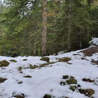 0.8 km Hier rechts halten