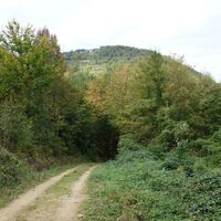 Schlussstück zurück