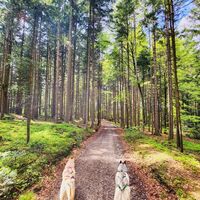 Wanderung Oberwarngau Taubenberg