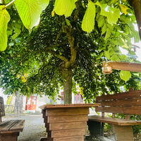 Rastpunkt am Backhaus Wolfmannshausen - Grabfeld