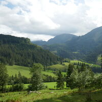 zum Schluss ein versöhnlicher Schlussteil - die hohen Gipfel bleiben jedoch im Nebel