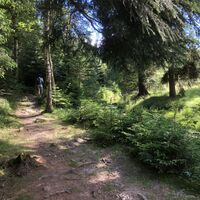 Flußtal