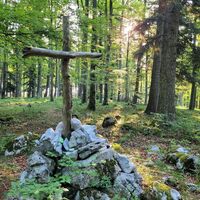 Hohenberg