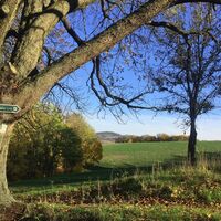 Blick zum Gefildehof bei Eisenach