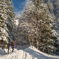 die ersten meter vor der Ebnerklamm