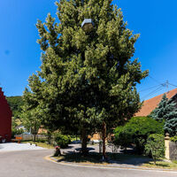 Christi Himmelfahrt Kapelle Herdtlinsweiler