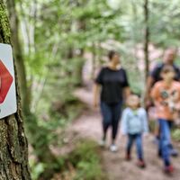 DSGVO Wüstenrot Dachsi Pfad Jun24 Trykowski 5 web