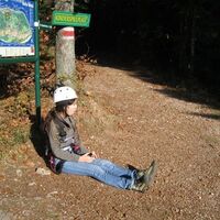 Hanselsteig, Hohe Wand