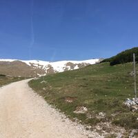 Am Hochplateau beim Dammböckhaus