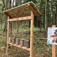 Waldy - Walderlebnisweg Hechingen Mucki-Bude