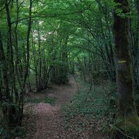 Weg zum Mont de Cordon