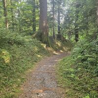 Trail der Alten Bucherstraße