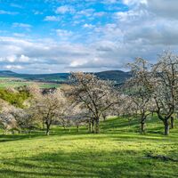 Landschaftsblick auf dem Kirschenweg (Go 3)