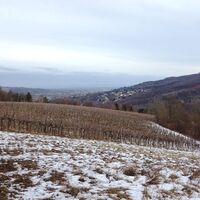 Am Weg nach Weidling