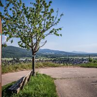 11-Genussweg Buchholz (6)
