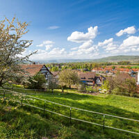 rekingen-dorf-mit-wiese