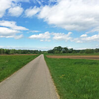 Radweg bei A5 hinter Urloff