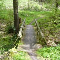 Brücke im Hirschgrund