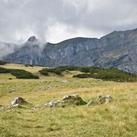 Roßwies - Blick auf den Sagzahn und die Rofanspitze