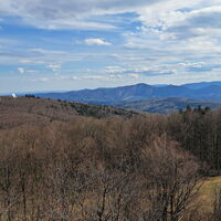 auf der Martras Warte