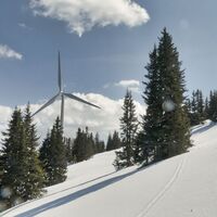 Schneeschuhlandschaft