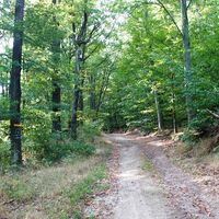 am Weg zur Hirschwand