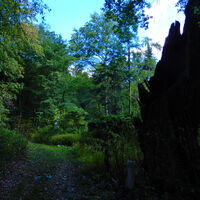 Marz/Rohrbach - Sieggraben