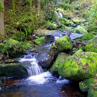 Lauterbacher Wasserfälle