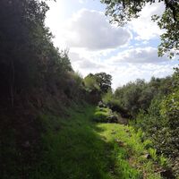 Wanderung 3 : Corbara Carbunaghja