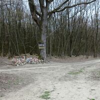 Zwergerlherde verwand mit Elektroherde