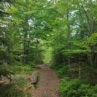 Weiterweg zur Großen Kanzel