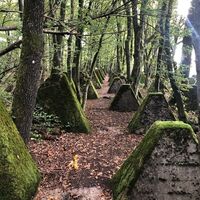 Höckerlinienweg bei Orscholz