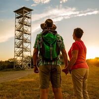 Aussichtsturm Betzelhübel