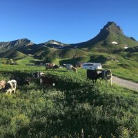 Alpe Uga mit Mittagspitze im Hintergrund
