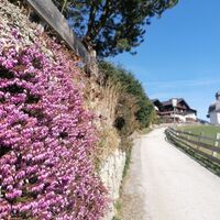 Wildschönau Oberau Richtung Antoniuskapelle