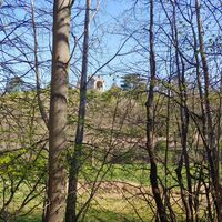 Blick auf die Roseburg bei Rieder