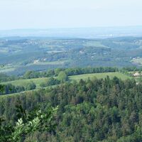 am Rückweg Schöpfl Nordseite
