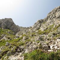Scheffau_Aufstieg Scheffauer_Wilder Kaiser