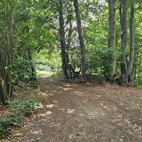 14.6 km Links halten im Wald