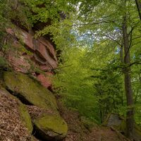 Am Fuß des Naturdenkmals Rotenstein bei Münchweiler an der Rodalb