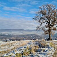 Qualitätstour Zum Ebersnacken (Ki 1)