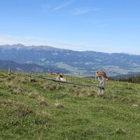 Ausblick unterwegs