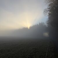 (Rück-)Blick gen Osten mit mystischer Nebelstimmung