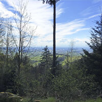 Sitzbänke Aussicht