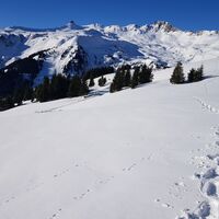 Schneeschuhtrail Panüöl-Prodalp