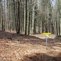 Übergang Burgsteinmauer