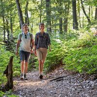 Unterwegs auf den saarländischen Premiumwegen