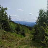 im Abstieg auf Weg Lo5 mit Blick zum Falkenstein und Rachel