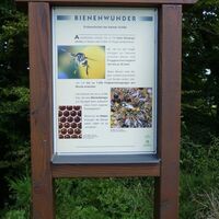Bienenlehrpfad Freienohl